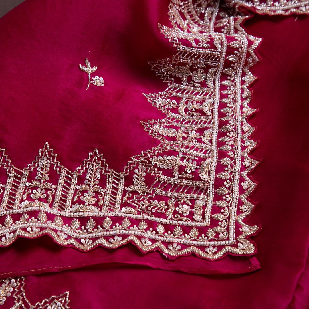 BEAUTIFUL HAND EMBROIDERED ZARDOSI WORK ORGANZA SAREE