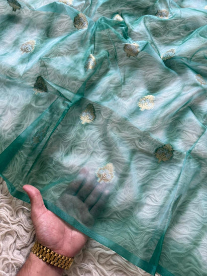 Banarasi Kora Organza Silk Saree.