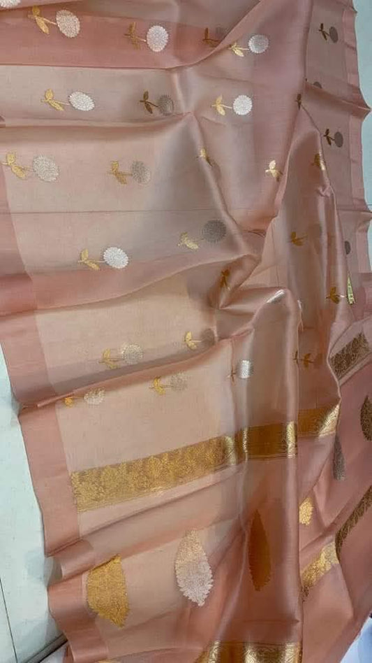 Banarasi Kora Organza Silk Saree.