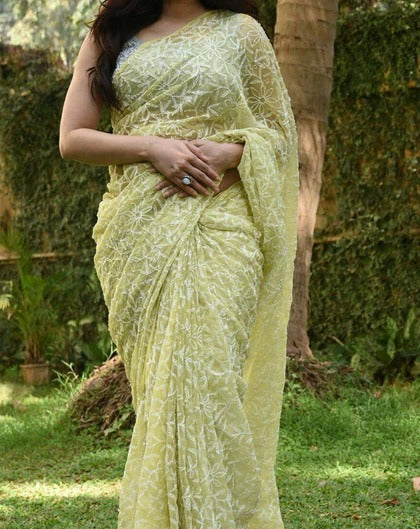 Lucknowi Tepchi Jaal Work Saree