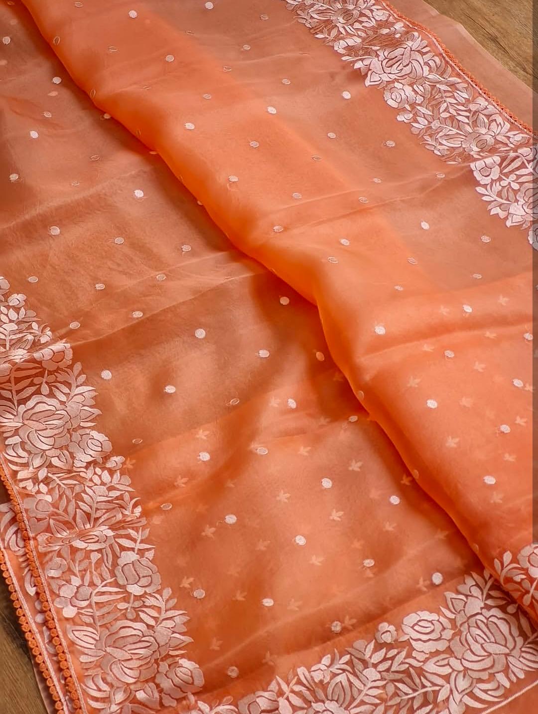 Banarasi Soft Kora Organza Embroidery Work Saree.