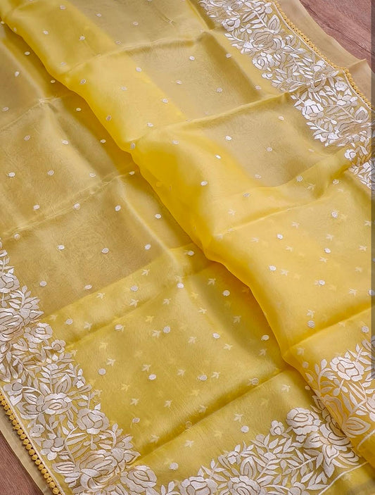 Banarasi Soft Kora Organza Embroidery Work Saree