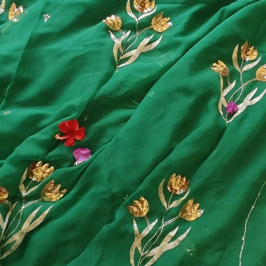 Pure Diamond Chiffon Hand Work Saree.
