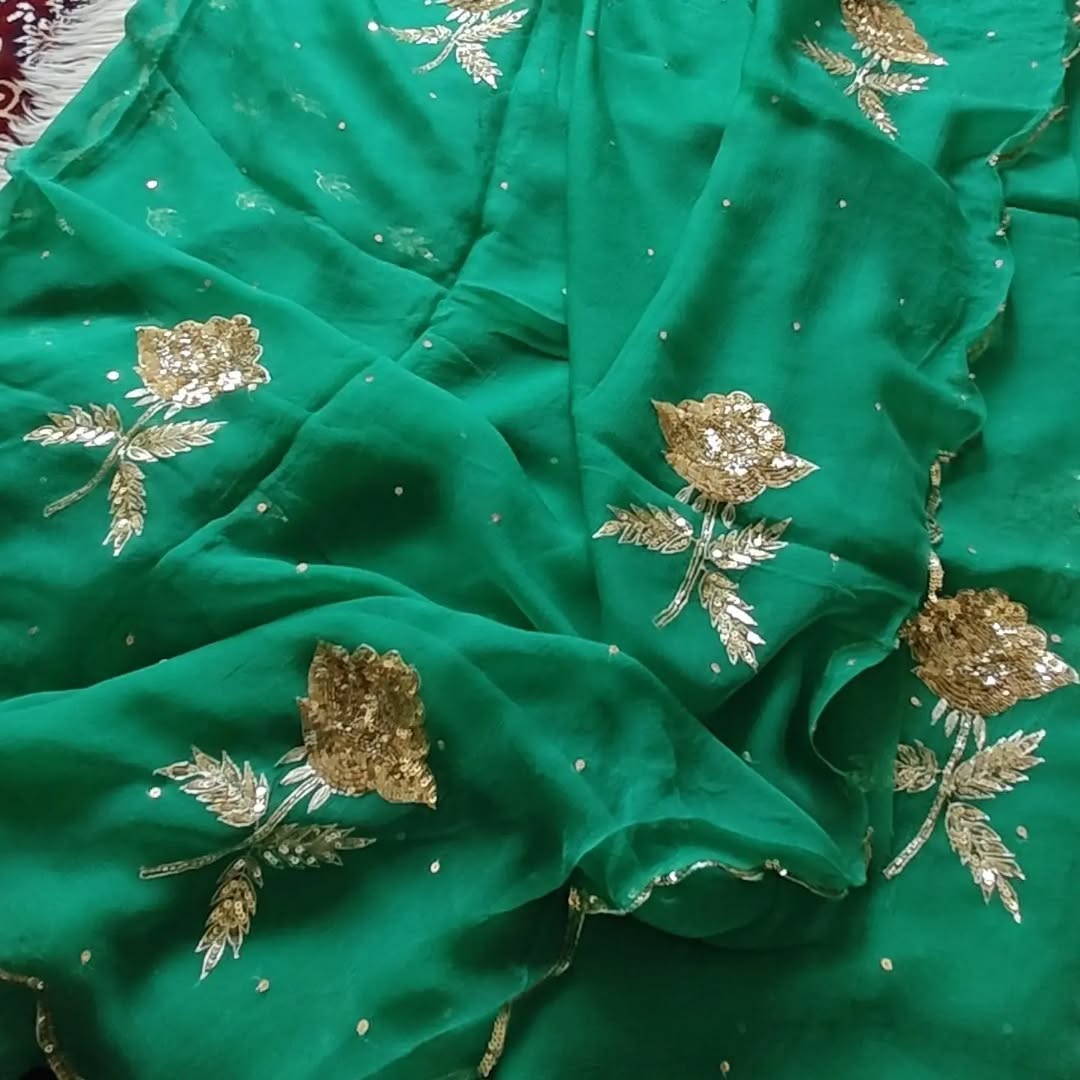 Pure Diamond Chiffon Hand Work Saree.