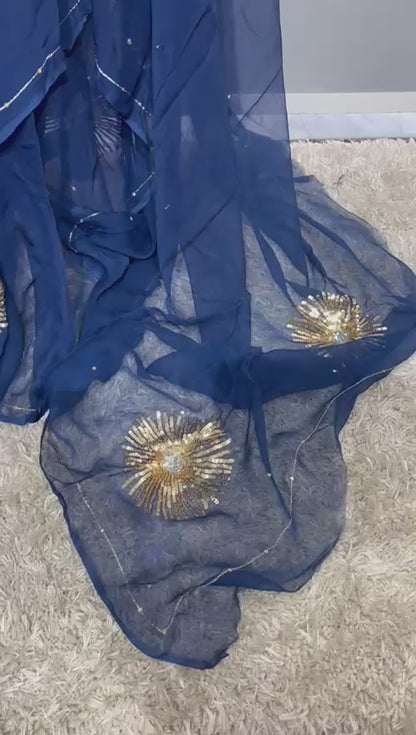 Blue Color Pure Diamond Chiffon sequence Hand Work Saree.