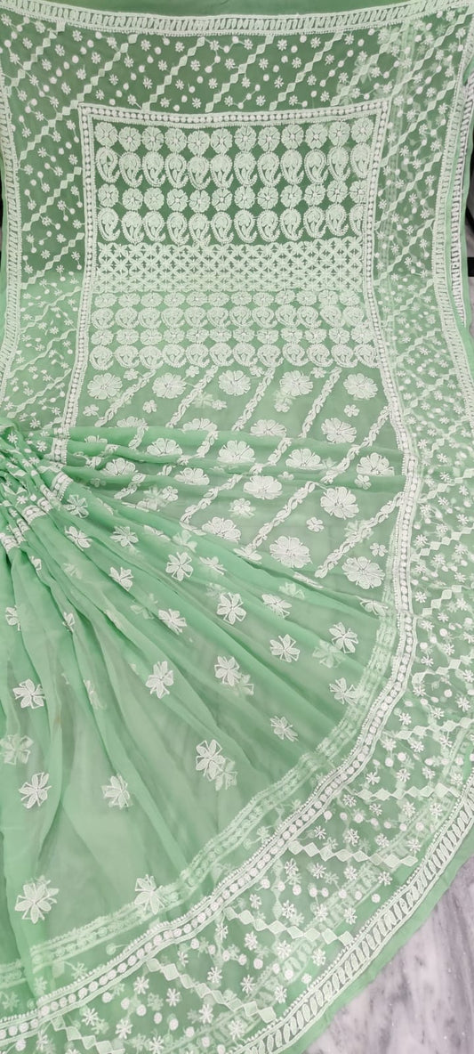 Chiffon Georgette All Over Chikankari Saree With Heavy Hand Work Embroidery WIth Blouse